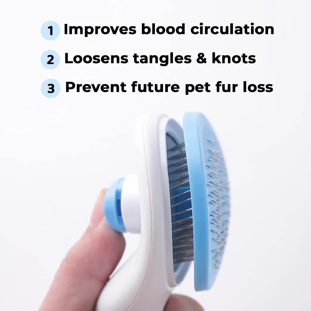 Kuber Industries Dog Brush|Dog Brush for Hair Cleaning|De-tangling|& Grooming|Helps Prevent Fur Loss Upto 90% by Increasing Blood Circulation|Suitable for Small & Medium Pets|PT213B|Pack Of 3|Blue