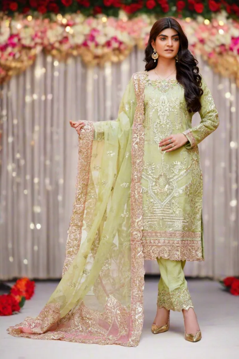 Sajni Embellished Organza Pakistani Wedding Wear SAJ02